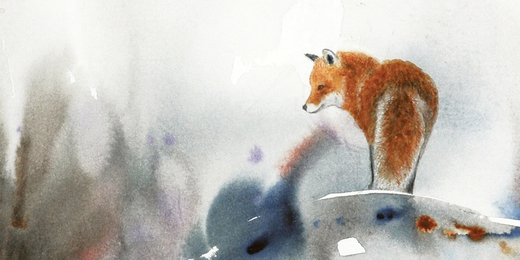 Sur la piste du renard - publication PointCulture - dessin Yves Fagniart