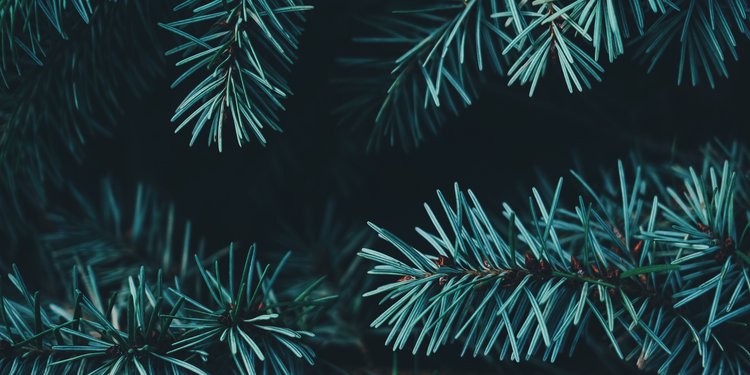 Photo by Annie Spratt on Unsplash