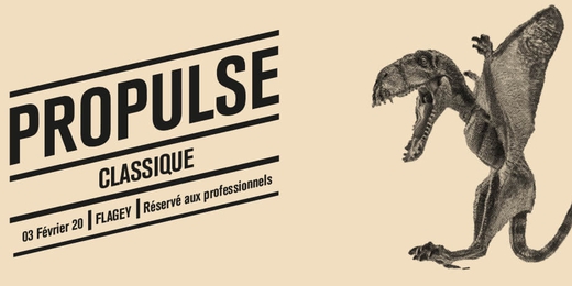 ProPulse 2020