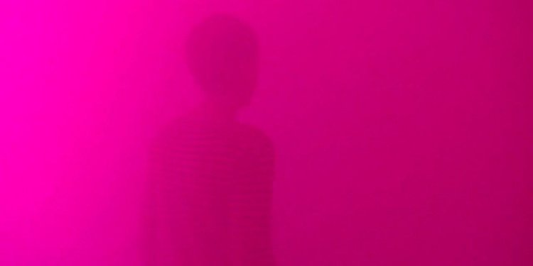 Rose - (c) Ann Veronica Janssens, 2007