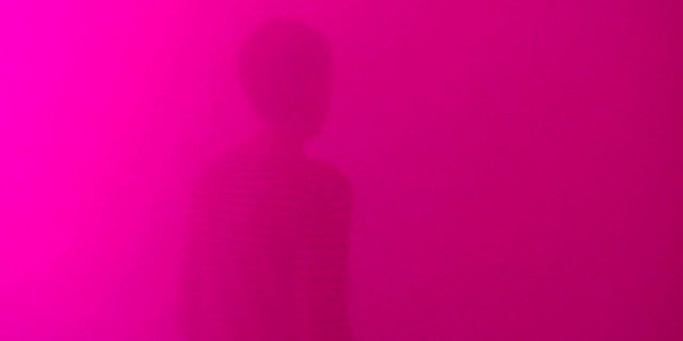 Rose - (c) Ann Veronica Janssens, 2007