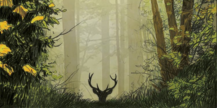 Le Cerf, une histoire de passions - couverture