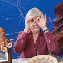 donna harraway