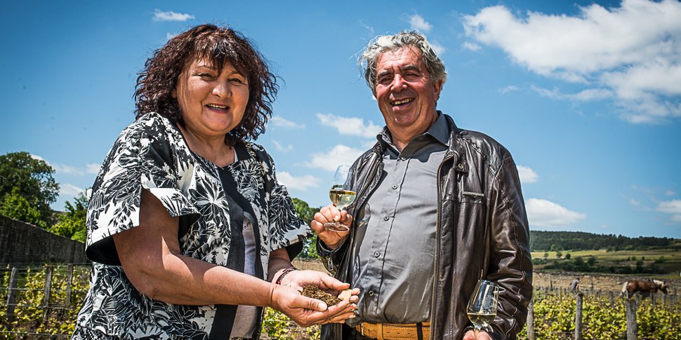 Labour et biologie du sol en agriculture