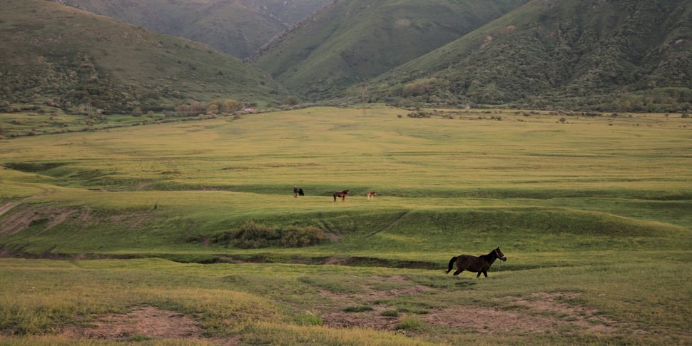steppe du Kazakhstan