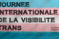 Le 31 mars c'est la journée internationale de la visibilité Trans