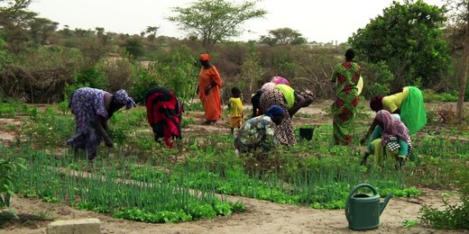 Vivre dignement de sa terre