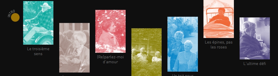 vous permettez senior