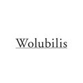 wolubilis_logo.jpg